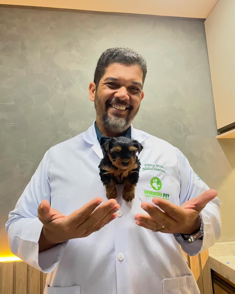 Dr. Dawys Peroba, de jaleco da Insemina Pet, com um filhote de yorkshire apoiado no peito.